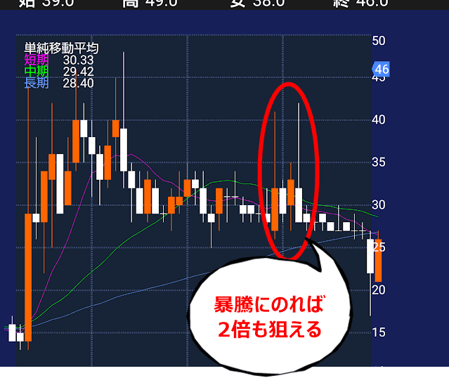 断言する 低位株 ボロ株は危険 ぼくの失敗談 損失30万以上 投資んライブ